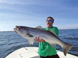 Read more about the article 4 Ways to Catch Stripers on the Run
