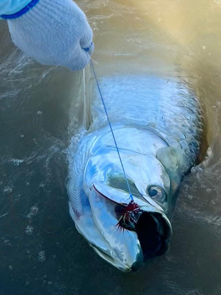 CR #375 - beauty on the fly