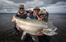 unnamed - 2026-02-10T084917.142