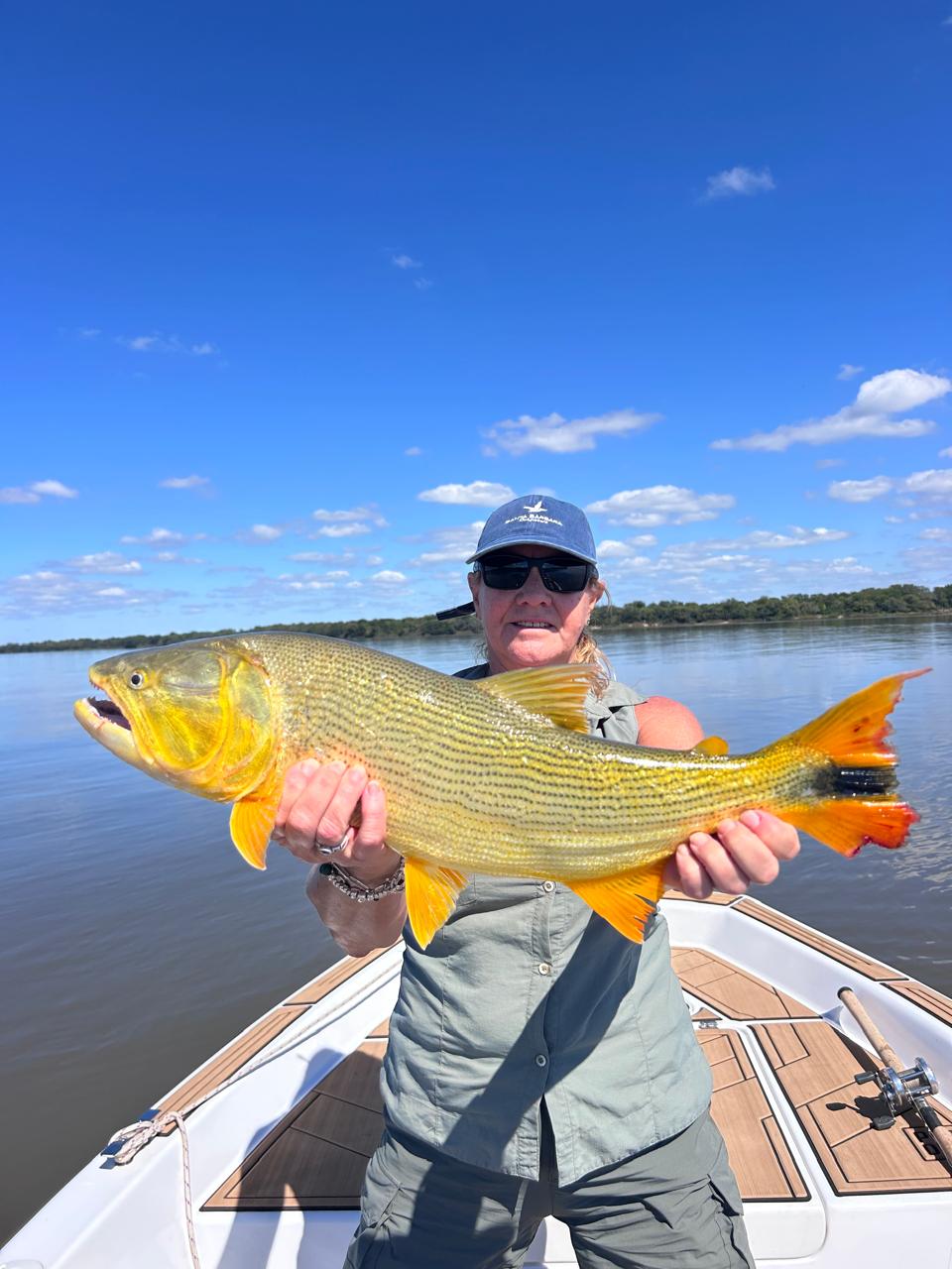 Dorado ABH 1