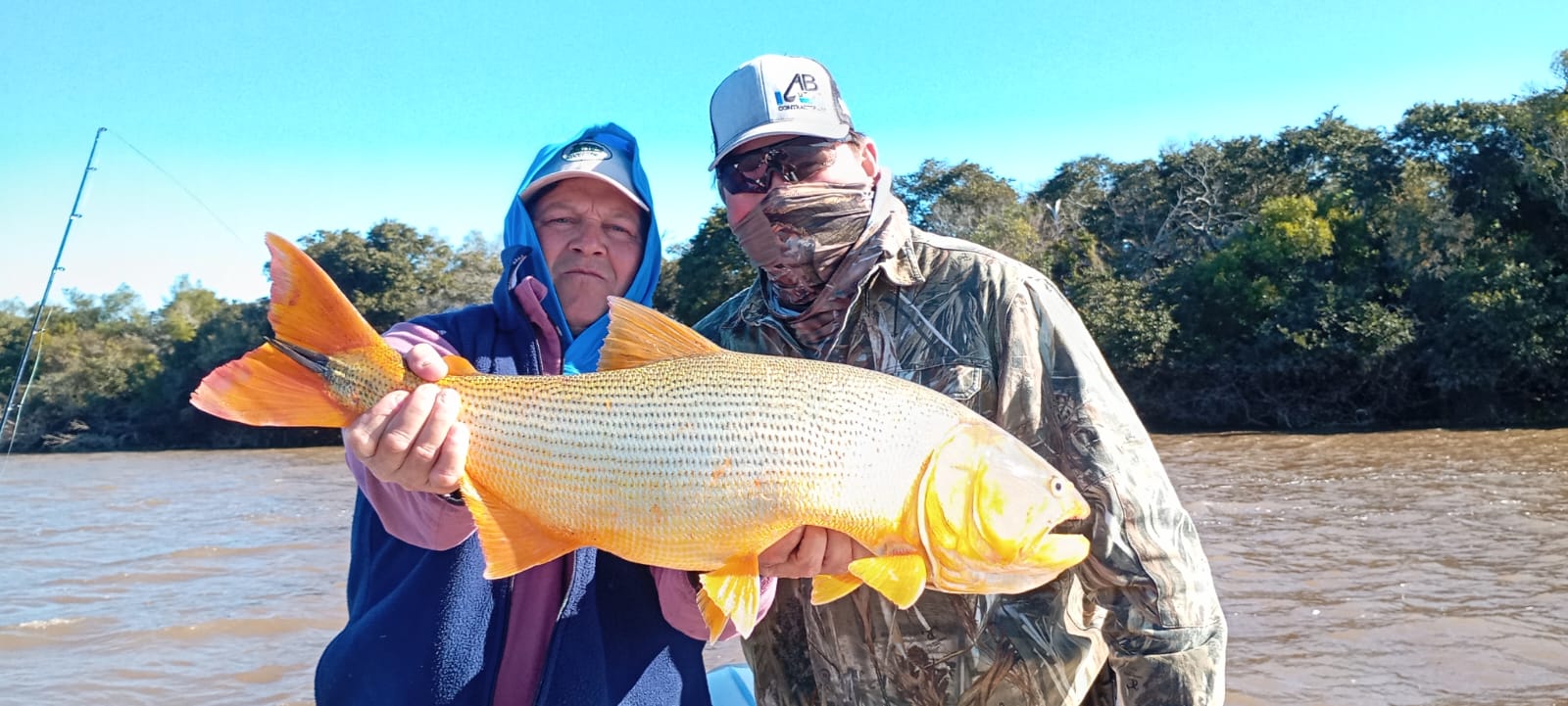 Dorado ABH 12