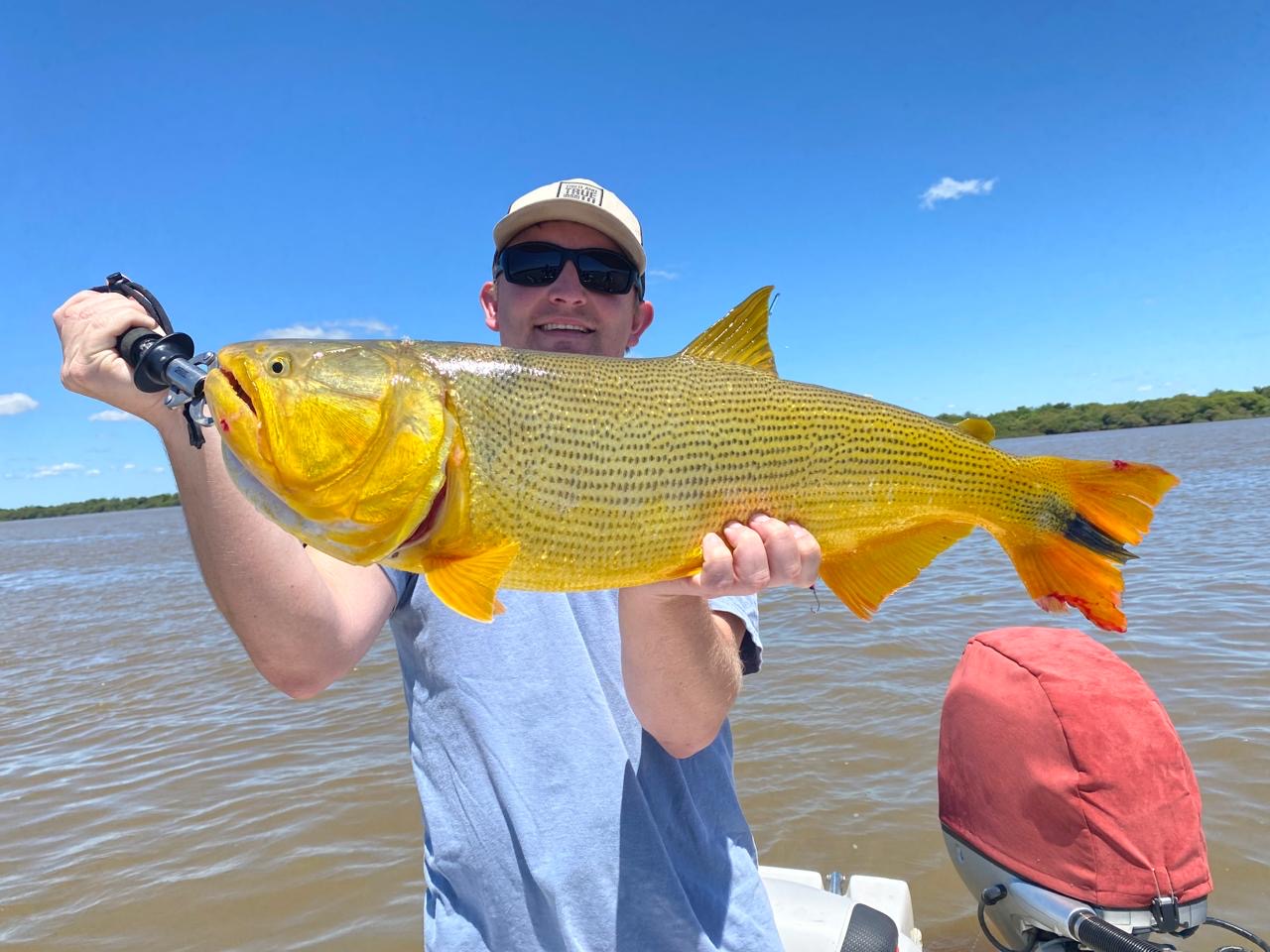 Dorado ABH 13