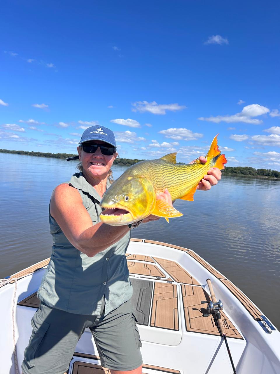 Dorado ABH 2
