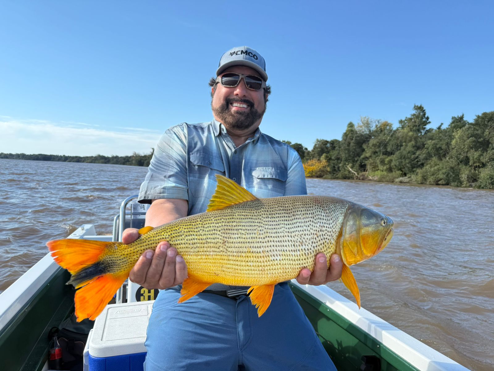 Dorado ABH 5
