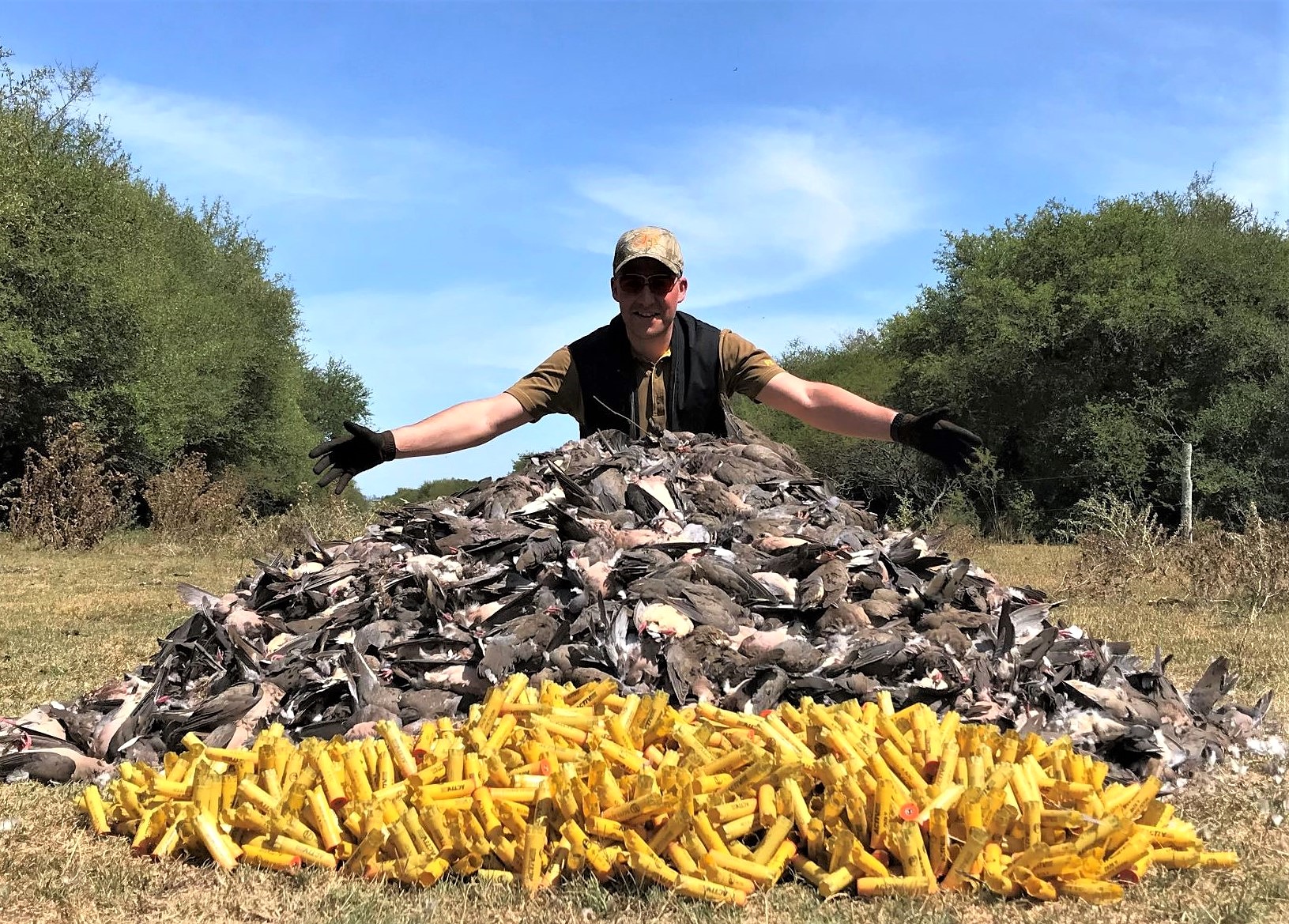 Doves pile