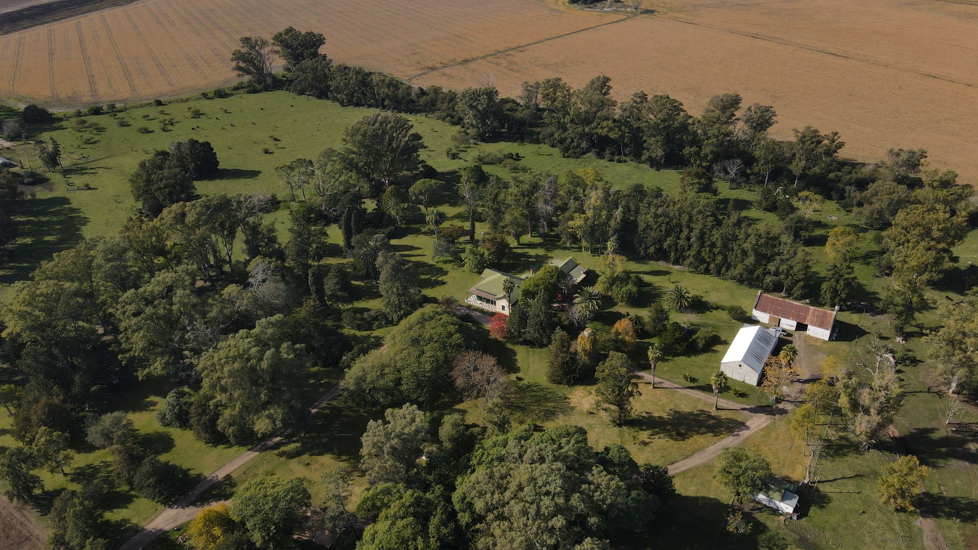 SA Aerial view