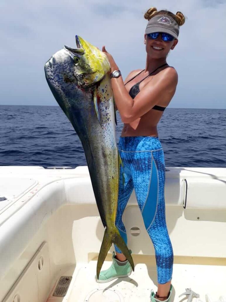 200.Dorado-2-1-768x1024