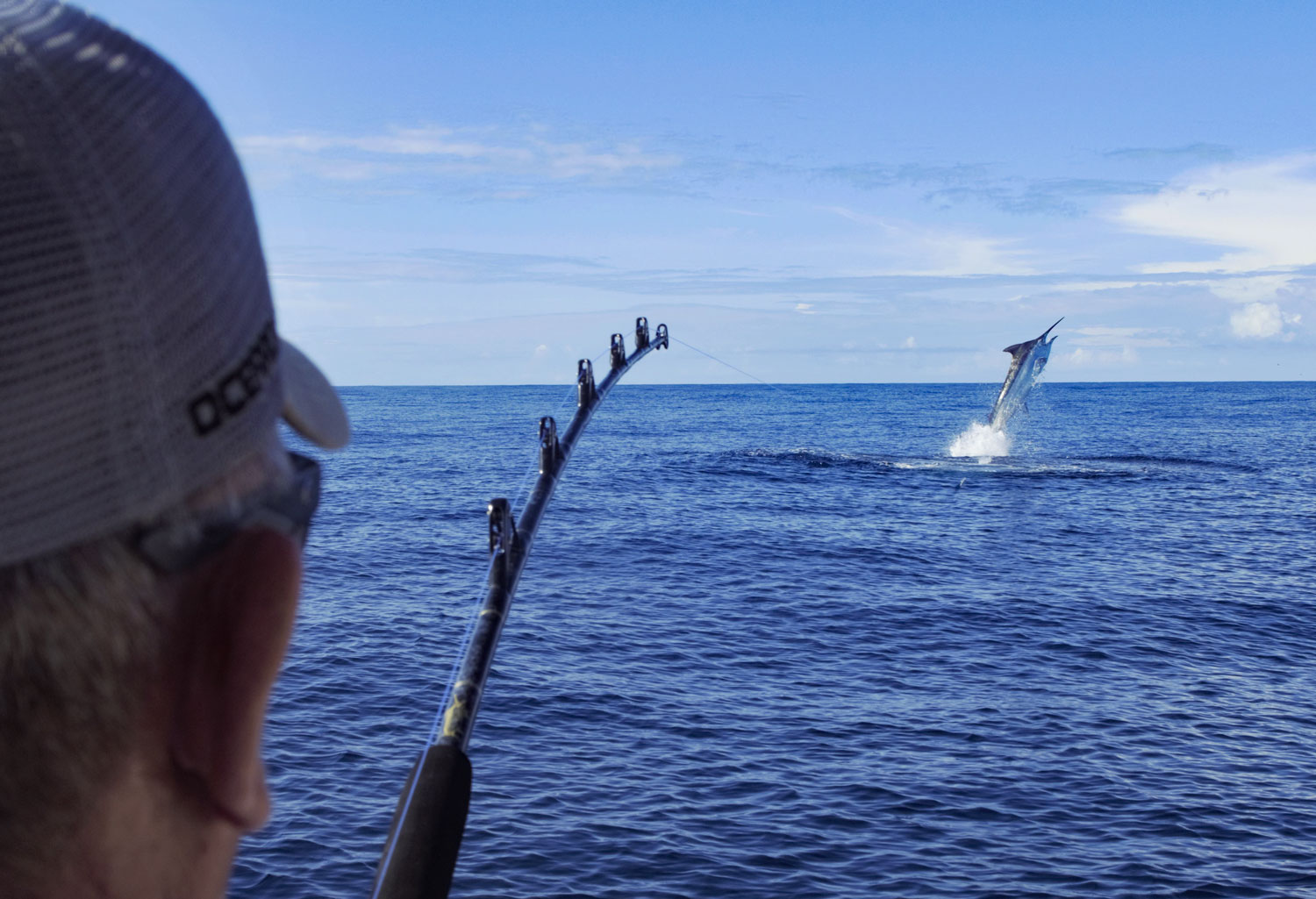 200.black-marlin-jumping-1