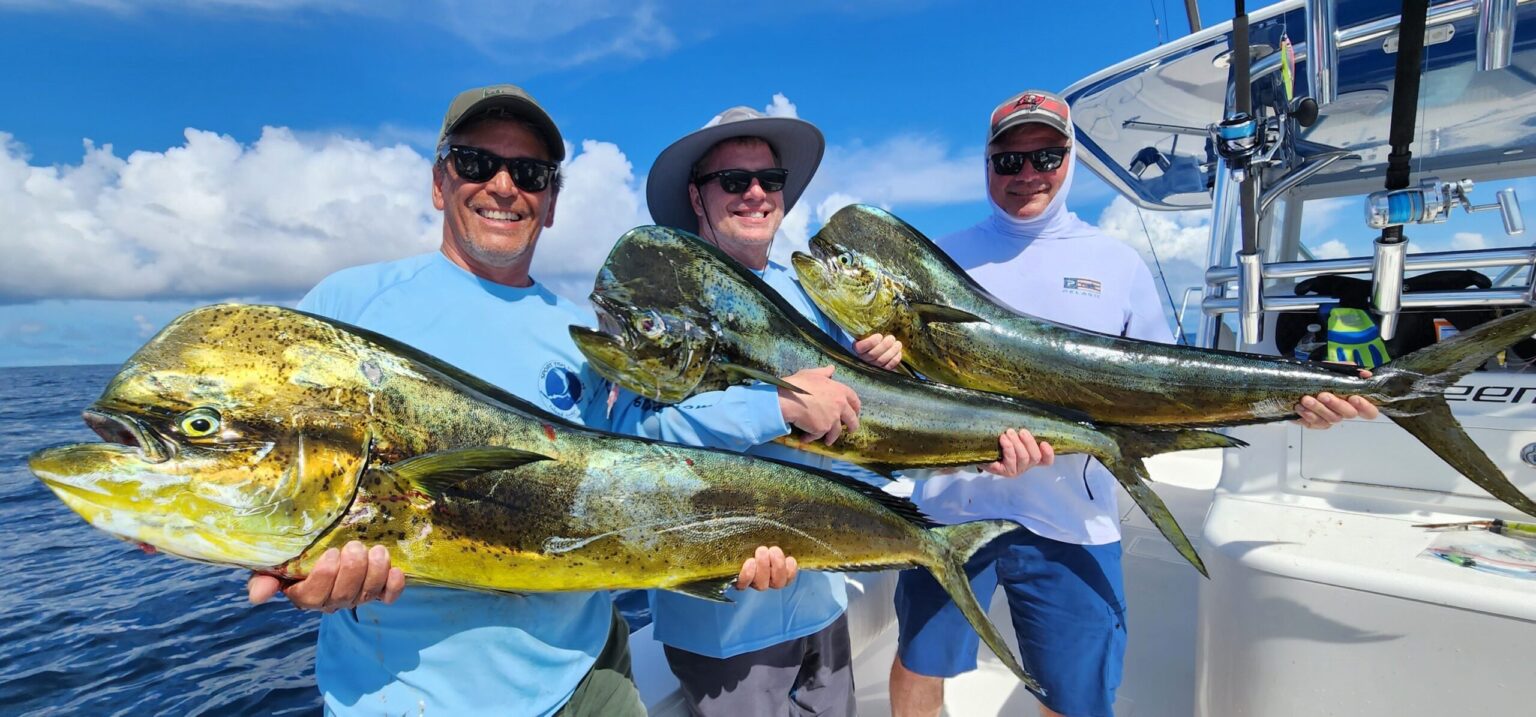 200.dorado-scaled-1-1536x717