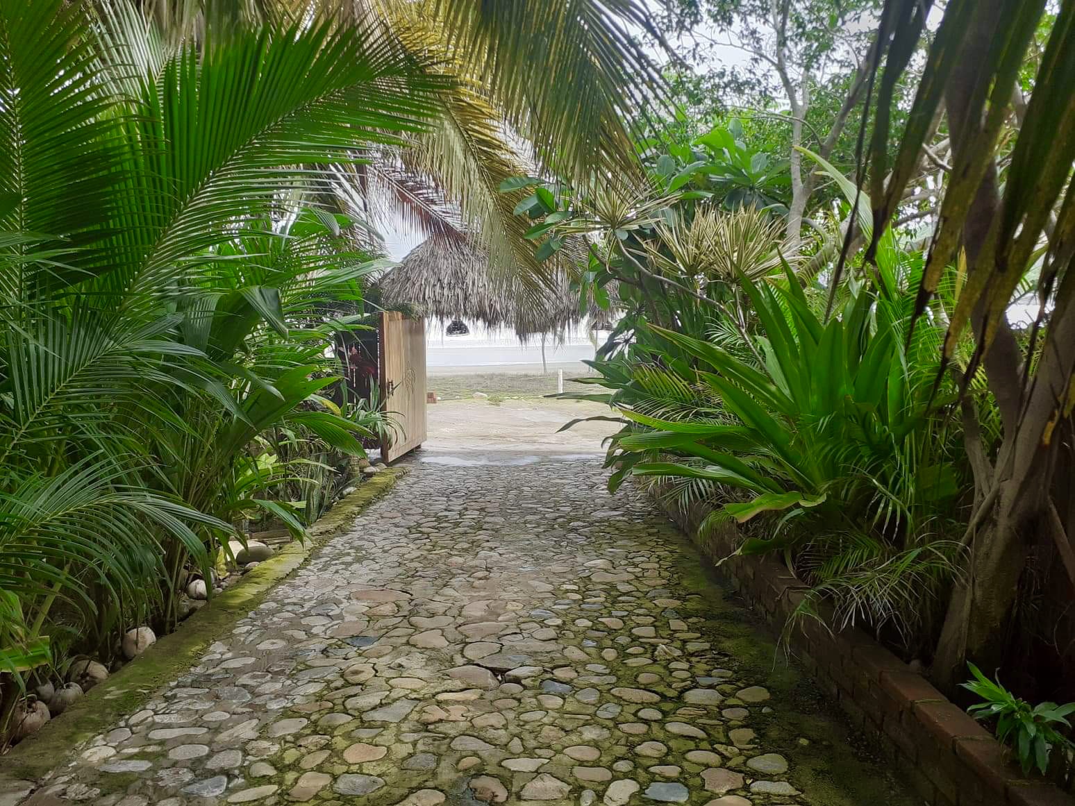 MX #116 - garden path