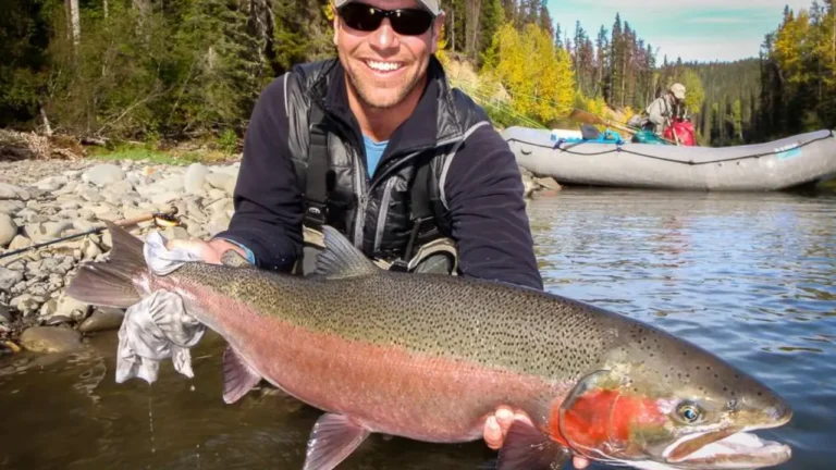 Sustut River Steelhead Fishing_ Season & Guided Trip Guide